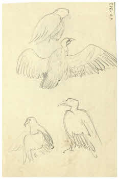 Visualizza l'immagine "FD D 1913 v."